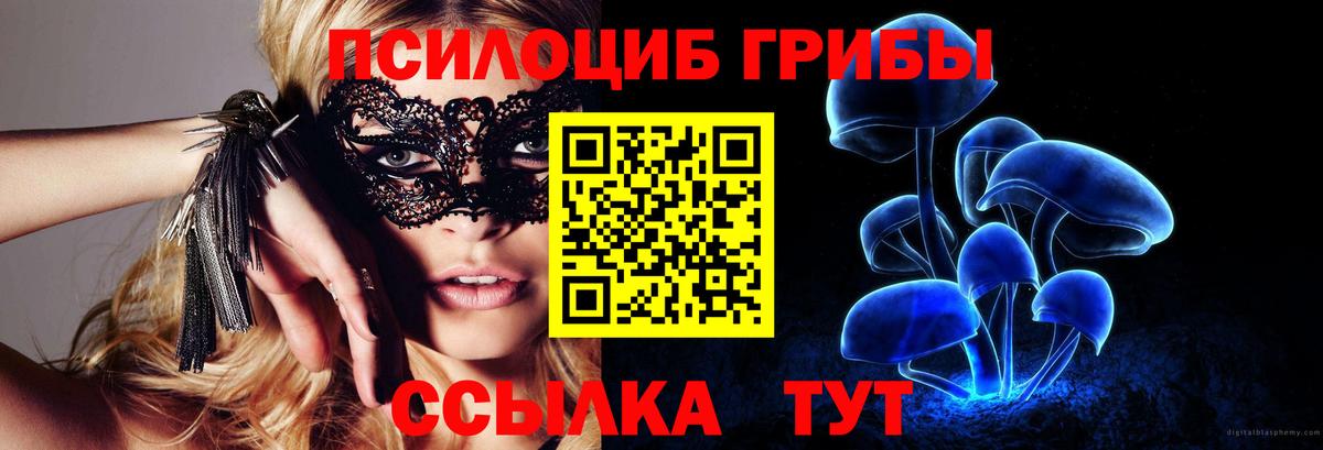 Псилоцибиновые грибы прущие грибы Кудрово